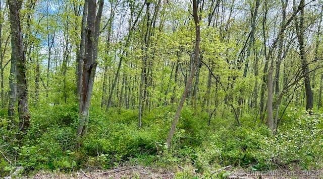 Old Toll Rd, Madison, CT 06443 - photo 1