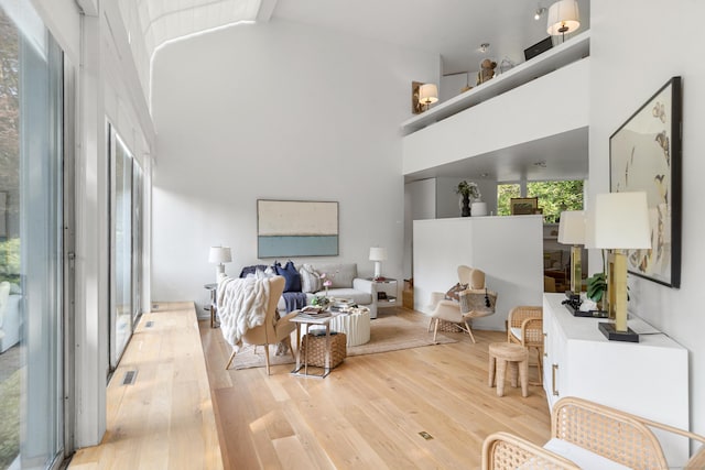 274 Nod Rd, Ridgefield, CT 06877 - living room with high vaulted ceiling and light wood finished floors