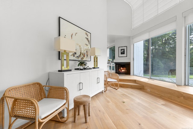 274 Nod Rd, Ridgefield, CT 06877 - living area featuring light wood-type flooring, a warm lit fireplace, and a high ceiling