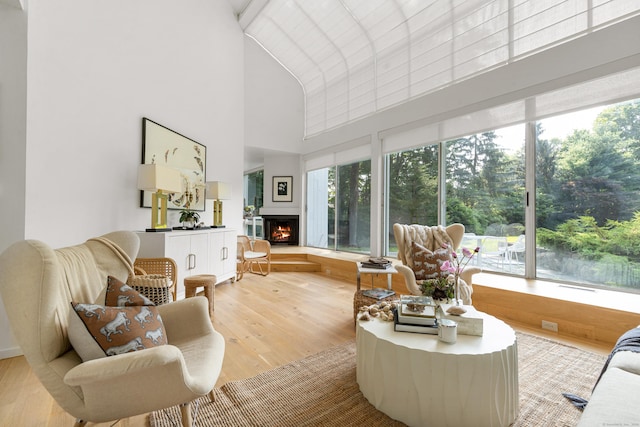 274 Nod Rd, Ridgefield, CT 06877 - living area with high vaulted ceiling, light wood finished floors, a lit fireplace, and plenty of natural light