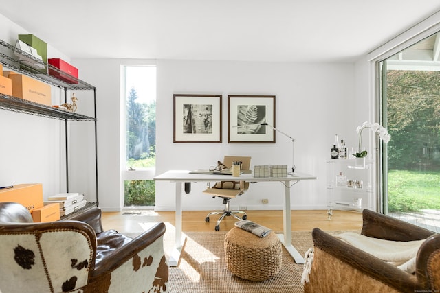 274 Nod Rd, Ridgefield, CT 06877 - office space featuring light wood-style floors