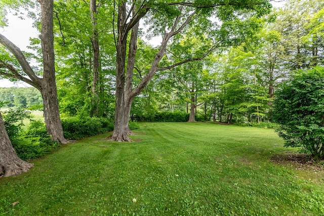 10 Dunbar Rd, Sharon, CT 06069 - photo 25