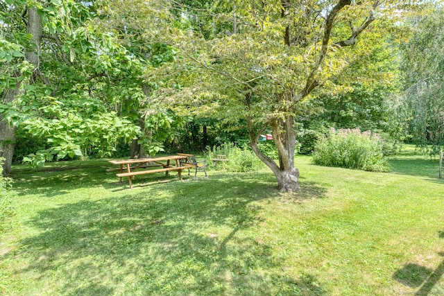 337 Rte 87, Columbia, CT 06237 - photo 39