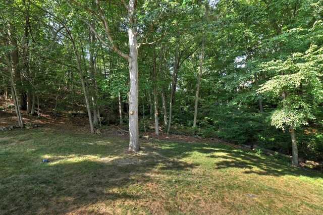 67 Nicole Dr, Naugatuck, CT 06770 - view of green lawn
