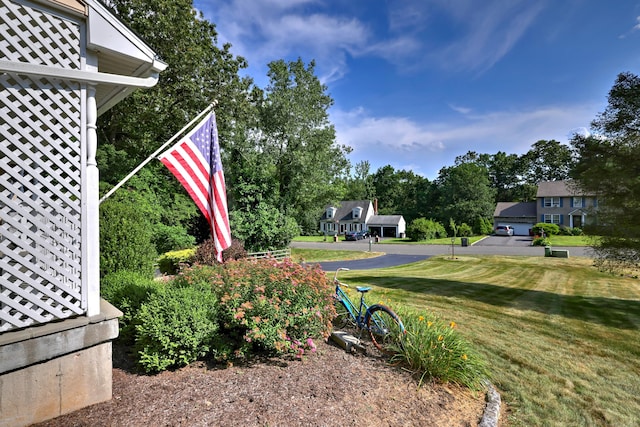 67 Nicole Dr, Naugatuck, CT 06770 - view of green lawn with view of scattered trees