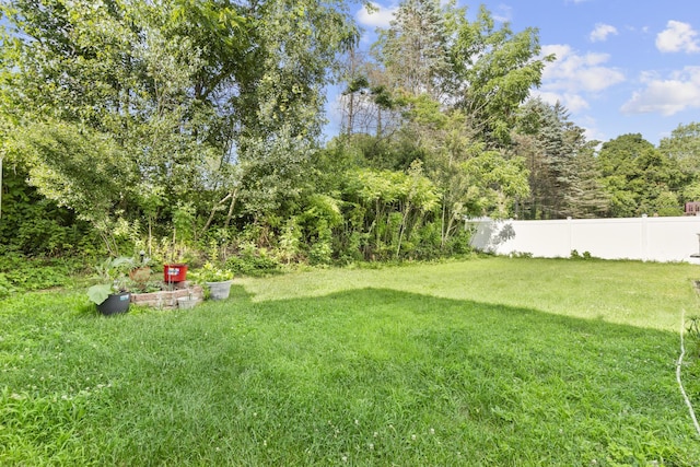 20 Society Hill Rd, Waterbury, CT 06704 - view of yard