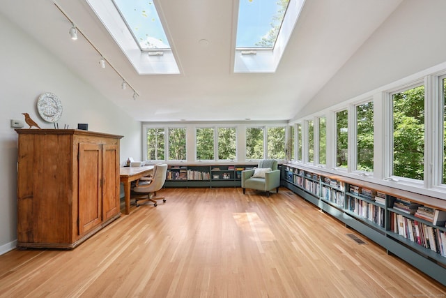 223 N St, Ridgefield, CT 06877 - office space featuring a skylight, rail lighting, lofted ceiling, and plenty of natural light