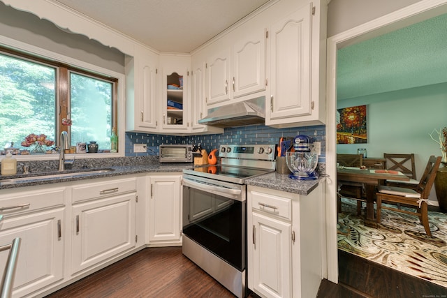 279 Annelise Ave, Southington, CT 06489 - kitchen with electric stove, under cabinet range hood, white cabinets, tasteful backsplash, and dark wood-style flooring