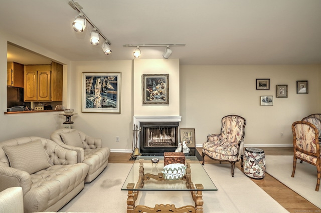 2 Old Town Hwy Unit 45, East Haven, CT 06512 - living room featuring wood finished floors, rail lighting, and a fireplace