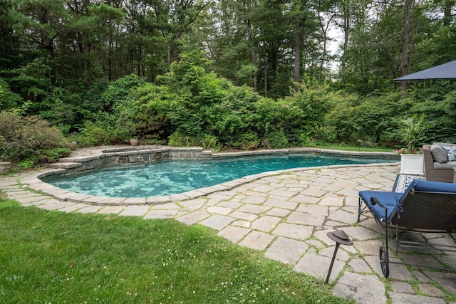 341 W Mountain Rd, Simsbury, CT 06092 - swimming pool with a patio