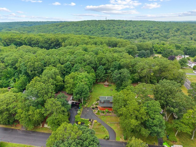 40 Devonshire Dr, Waterford, CT 06385 - aerial view of a forest