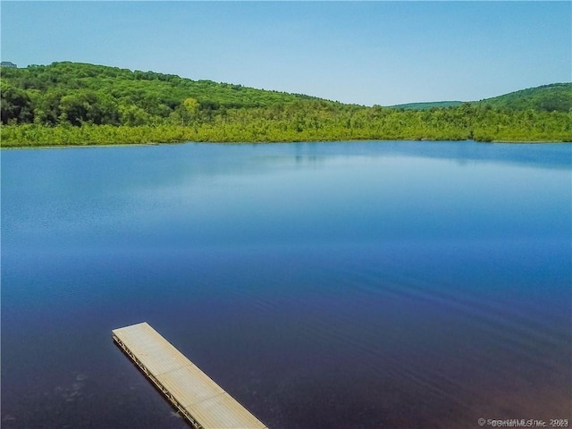 15 Birch Rd, Canton, CT 06019 - photo 5