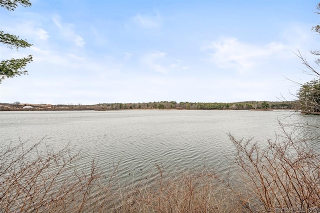 4 Grandview Dr Unit 53C, Farmington, CT 06032 - photo 19