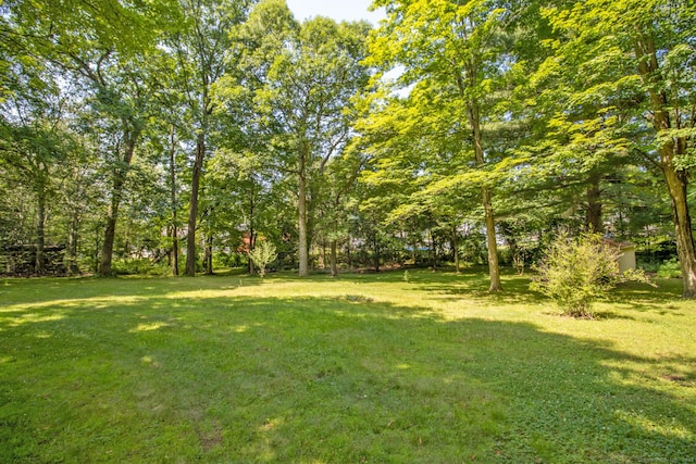 841 S Curtis St, Meriden, CT 06450 - view of green lawn