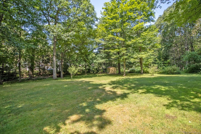 841 S Curtis St, Meriden, CT 06450 - view of green lawn with a storage unit