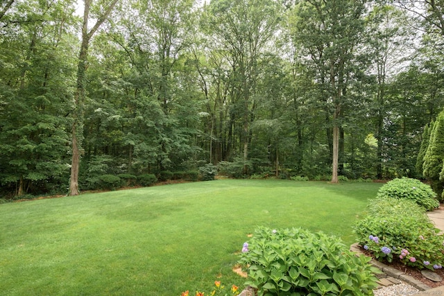 20 Portage Xing, Farmington, CT 06032 - view of green lawn
