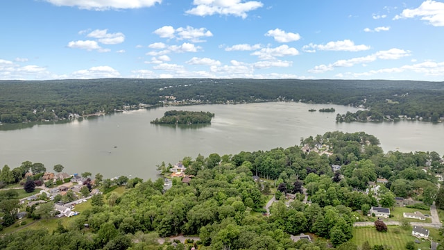 708 Lake Vista Dr Unit 708, East Hampton, CT 06424 - drone / aerial view of a forest and a large body of water