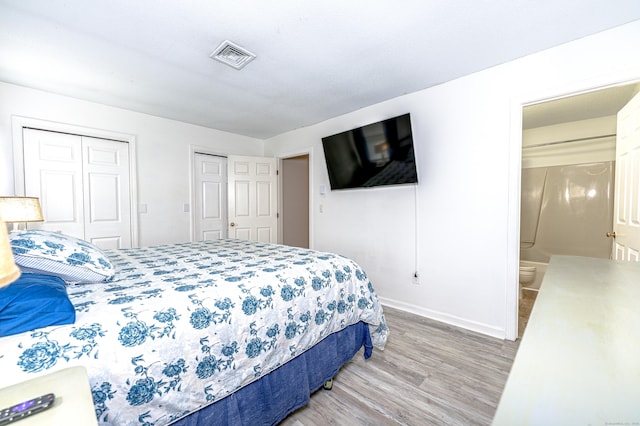 708 Lake Vista Dr Unit 708, East Hampton, CT 06424 - bedroom with light wood-type flooring and multiple closets