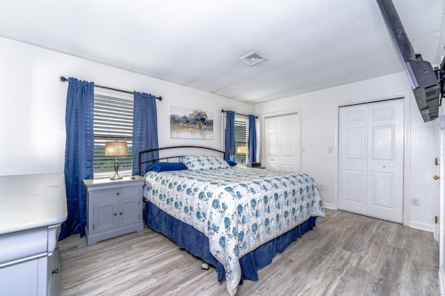 708 Lake Vista Dr Unit 708, East Hampton, CT 06424 - bedroom featuring light wood-style floors and multiple closets