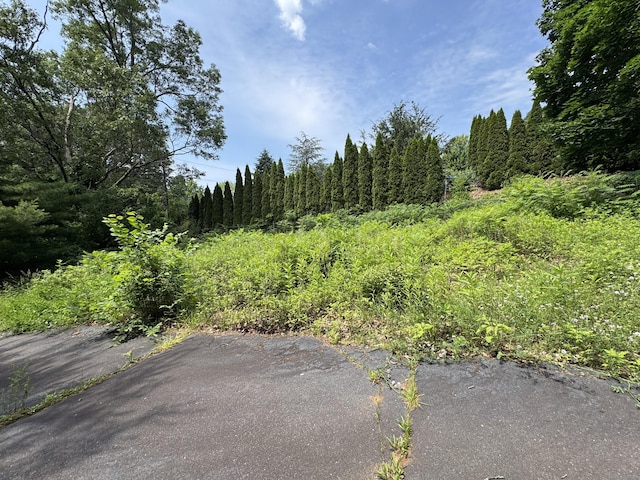 19 Maplehurst Ave, New Britain, CT 06053 - photo 8