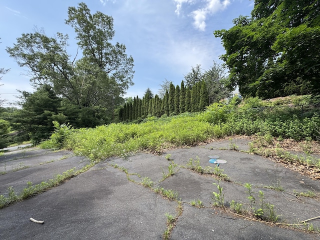 19 Maplehurst Ave, New Britain, CT 06053 - photo 9