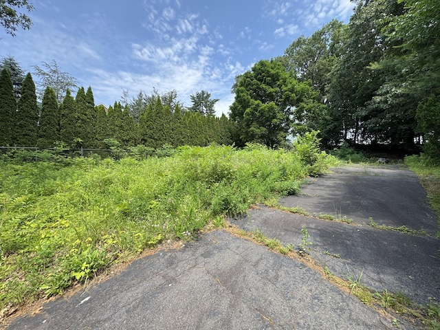 19 Maplehurst Ave, New Britain, CT 06053 - photo 13