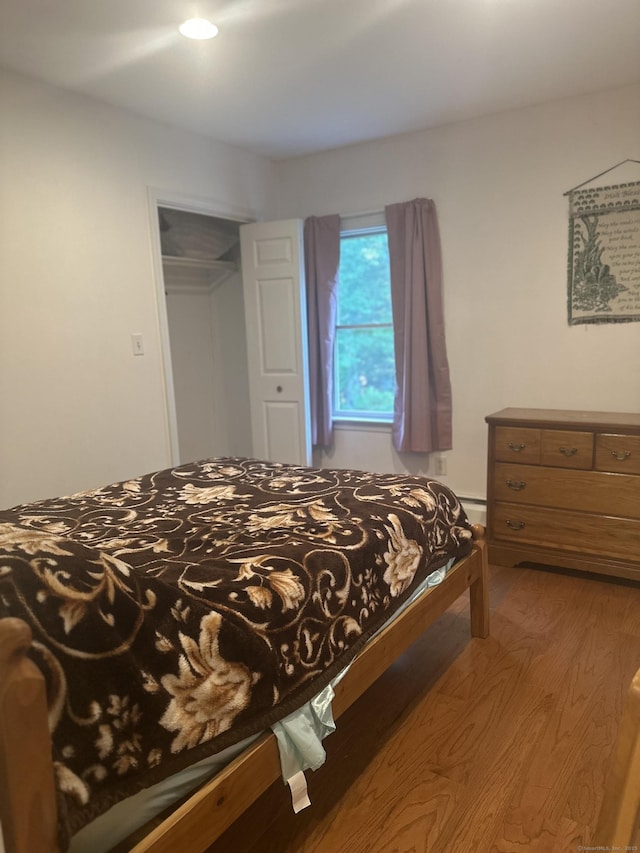 25 Goose Green Rd, Barkhamsted, CT 06063 - bedroom featuring wood finished floors, a closet, and a baseboard heating unit