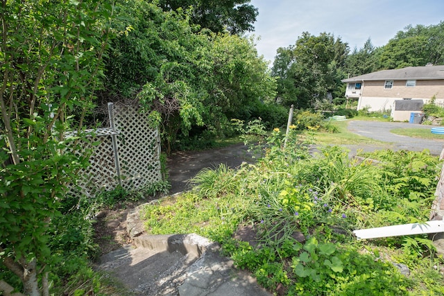 53 Haviland St, Bristol, CT 06010 - view of yard