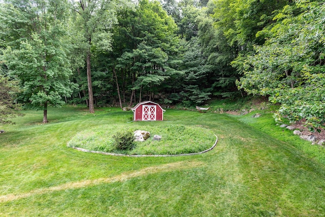 28 Musket Ridge Rd, New Fairfield, CT 06812 - view of green lawn with a storage unit and a view of trees