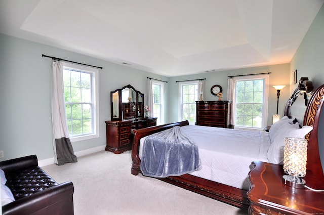 32 Arlington Dr, Avon, CT 06001 - bedroom with a raised ceiling, carpet, and multiple windows