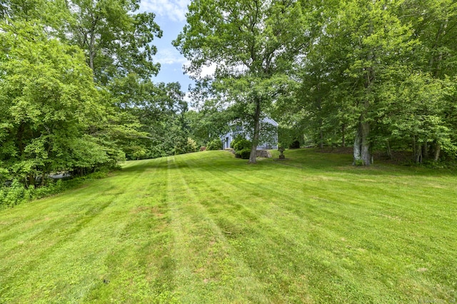 491 Hammertown Rd, Monroe, CT 06468 - view of green lawn