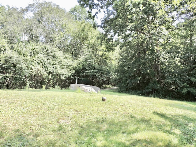 93 Bigelow Rd, Colchester, CT 06415 - photo 3