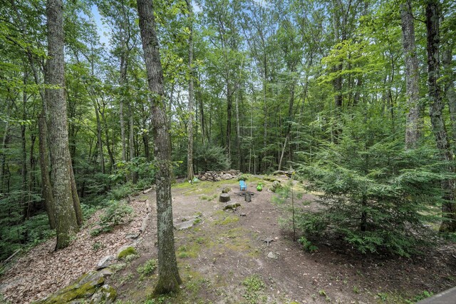 51 Sexton Hollow Rd, Canton, CT 06019 - photo 23