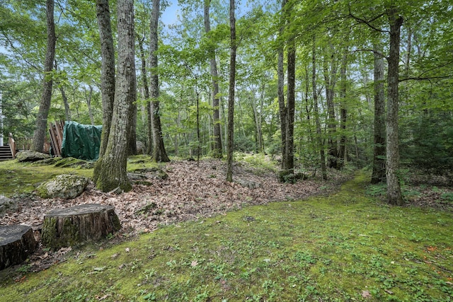 51 Sexton Hollow Rd, Canton, CT 06019 - photo 24