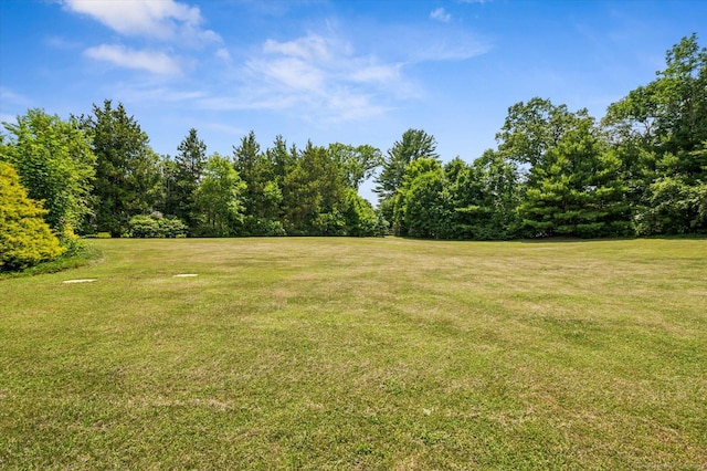 80 Tuckie Rd, Windham, CT 06280 - view of green lawn