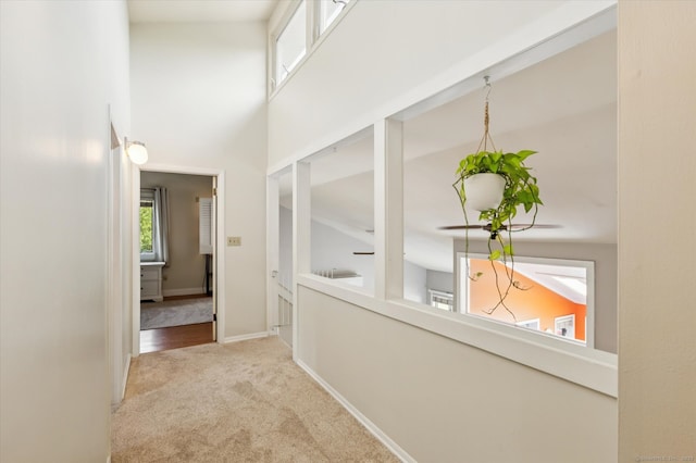 80 Tuckie Rd, Windham, CT 06280 - corridor featuring carpet flooring and baseboards