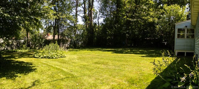 136 Chatham St, Hartford, CT 06112 - view of green lawn