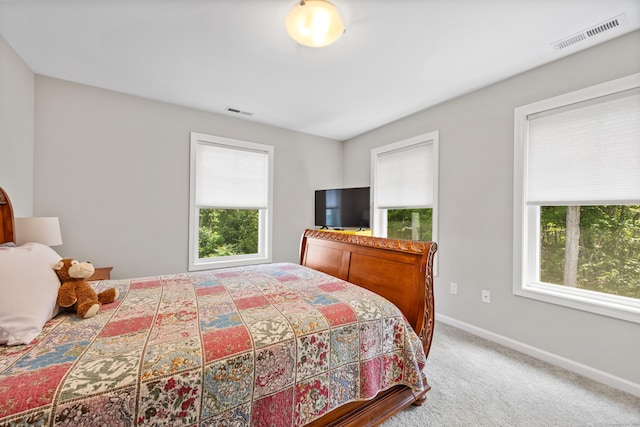 31 Old Oak Ct, Southington, CT 06489 - carpeted bedroom with multiple windows