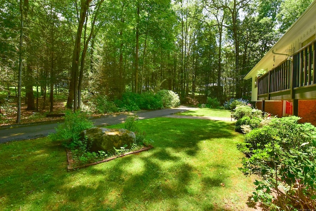 4 Barbara Ln, Stafford, CT 06076 - photo 4
