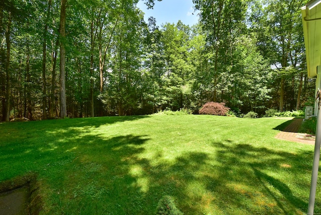4 Barbara Ln, Stafford, CT 06076 - photo 37