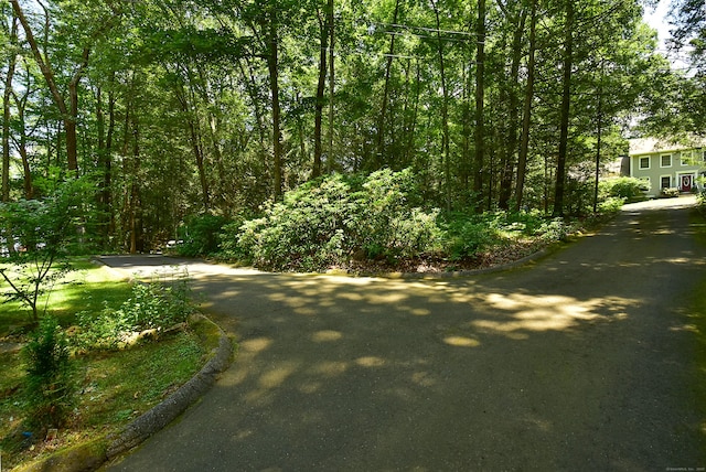 4 Barbara Ln, Stafford, CT 06076 - photo 5