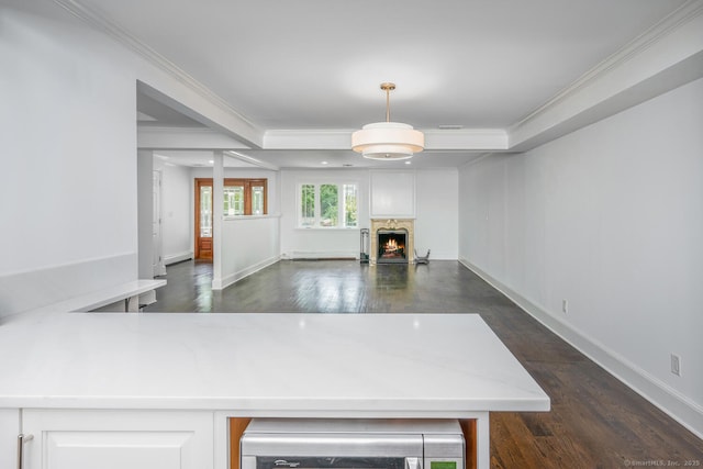 254 W Ave, Darien, CT 06820 - unfurnished living room featuring dark wood-style floors, a warm lit fireplace, crown molding, and a baseboard radiator