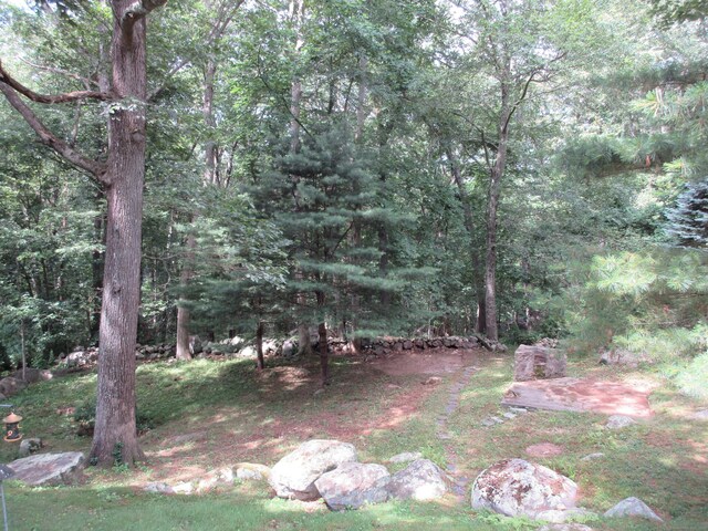 11 Ledgewood Dr, Ledyard, CT 06335 - view of yard with a wooded view
