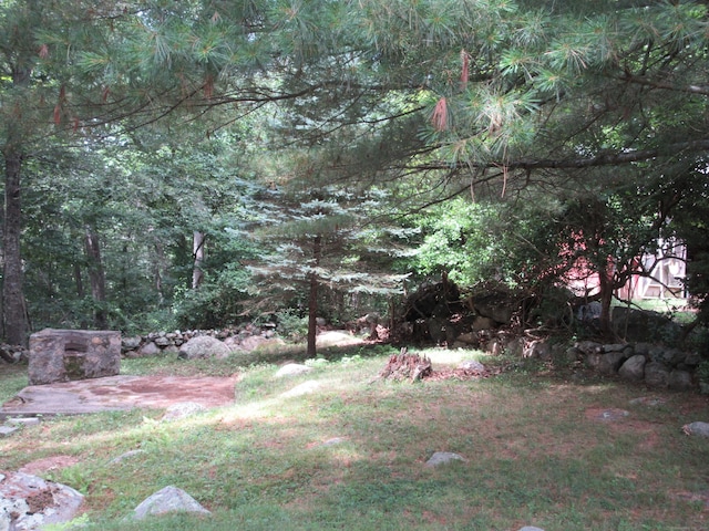 11 Ledgewood Dr, Ledyard, CT 06335 - view of yard with a forest view