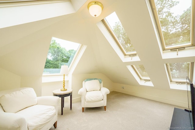 19 Money Point Rd, Stonington, CT 06355 - sitting room with a skylight, vaulted ceiling, and carpet