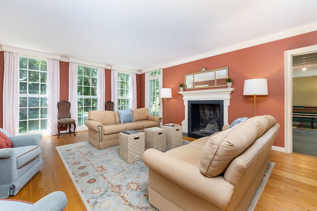 101 Tallmadge Ln, Litchfield, CT 06759 - living area with a fireplace with flush hearth, wood finished floors, and ornamental molding