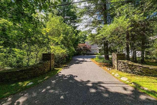 101 Tallmadge Ln, Litchfield, CT 06759 - view of asphalt driveway