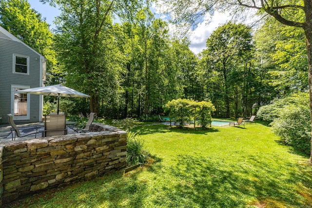 101 Tallmadge Ln, Litchfield, CT 06759 - view of green lawn with a patio and an outdoor pool