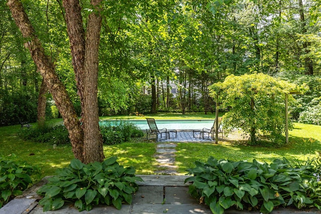 101 Tallmadge Ln, Litchfield, CT 06759 - view of green lawn featuring an outdoor pool