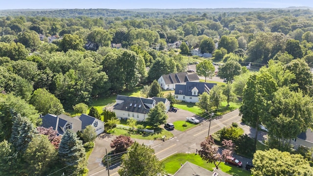 50 Middlebrooks Ave, Trumbull, CT 06611 - aerial view of a forest